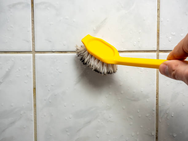Best Black Mold Remediation in Inwood, WV